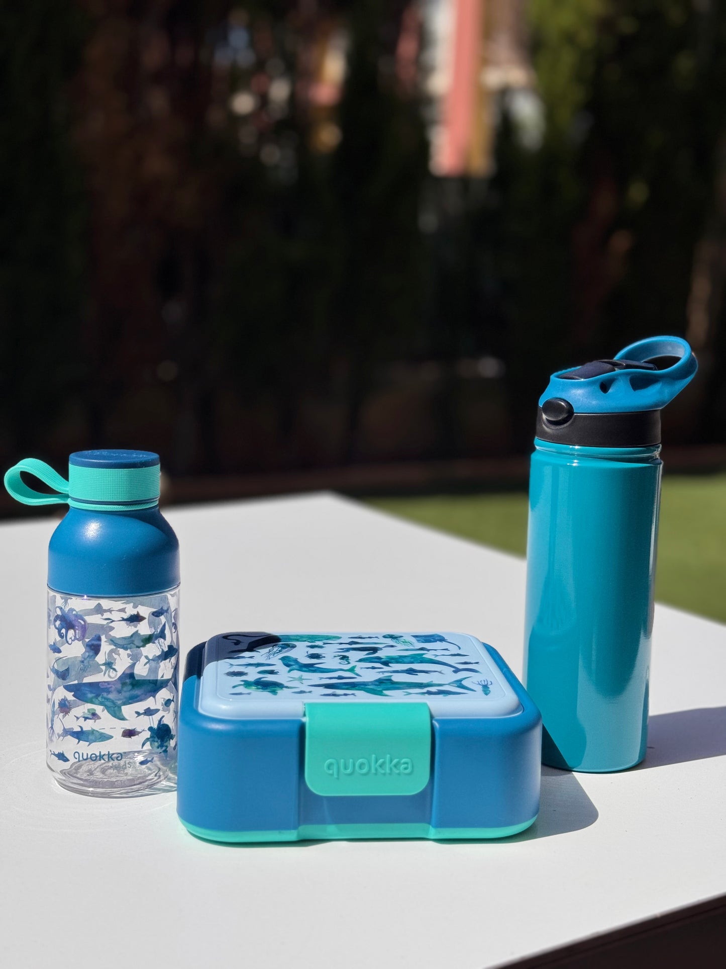 Ficha de producto – Snack Box Niño (Animales del Mar)