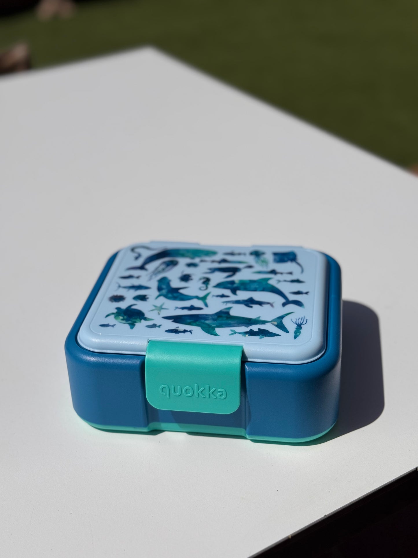 Ficha de producto – Snack Box Niño (Animales del Mar)