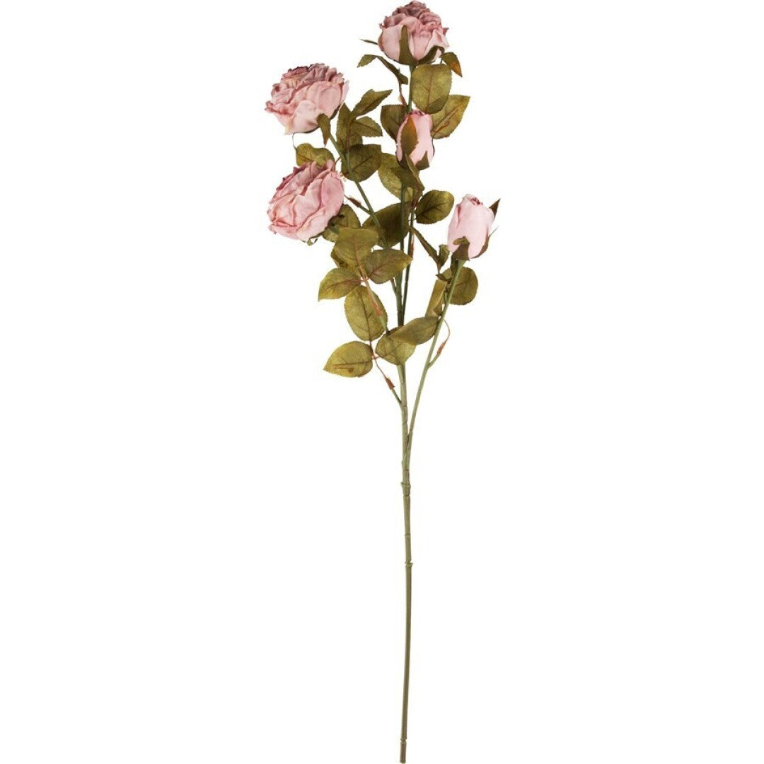 Peonías Rosadas Decorativas