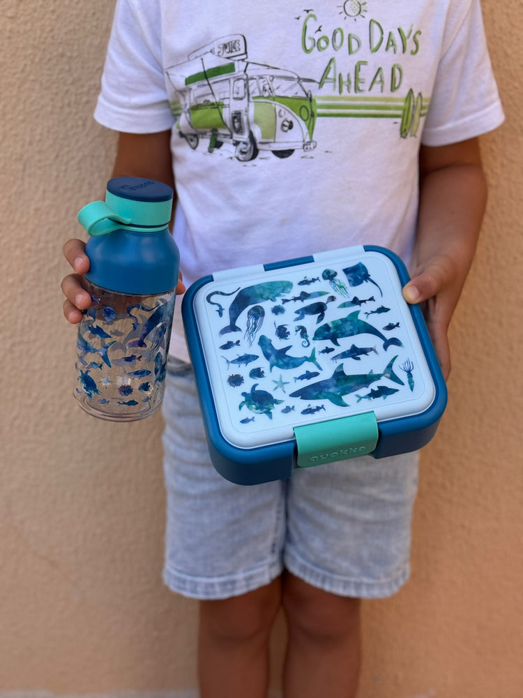 Lunch & Go | Fiambreras, Lunchpots y Accesorios – StyleHomeShop